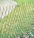 Willow Fence