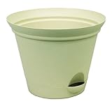 Misco 1654/4-072 Flare Self Watering Planter, 16.85-Inch, Latte