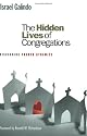 The Hidden Lives of Congregations: Discerning Church Dynamics
