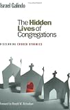 The Hidden Lives of Congregations: Discerning Church Dynamics