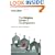 The Hidden Lives of Congregations: Discerning Church Dynamics