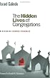 The Hidden Lives of Congregations: Discerning Church Dynamics