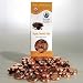 Sierra Club 00900 Sierra Club Organic Coins - Pure Milk Chocolate