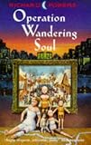 Operation Wandering Soul