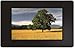VIEWline 7 Inch Widescreen Digital Photo Frame, Black with Remote Control