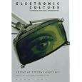 Electronic Culture: Technology and Visual Representation