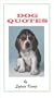 Dog Quotes