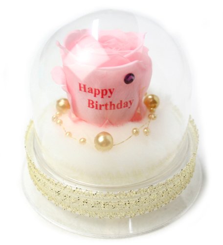 メッセージローズ (Preserved Rose) ローズドーム S1~情熱のラブジャック アトミック~ピンク 【バースデイストーン☆2月】【Happy Birthday】 22241