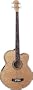 Michael Kelly Dragonfly4 Fretless Acoustic-Electric Bass (Black)