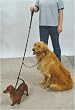 Sporn Double Dog Leash - Two Dog Leash
