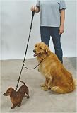 Sporn Double Dog Leash - Two Dog Leash