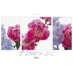 Flowers 2012. PhotoArt Panorama