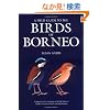A Field Guide to the Birds of Borneo