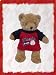Baseball T-shirt fits Webkinz L'il Kinz, Ty Beanie Babies, Fluff Factory and Teenies Teddies