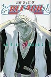 Bleach, Volume 20 (in Japanese)