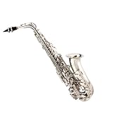 Cecilio 2Series Nickel Plated Alto Saxophone w / Carrying Case and Accessories - B00157P7GY