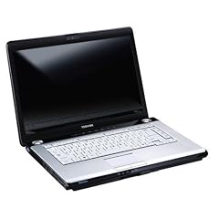 Toshiba Satellite A200-1PB 39,1 cm (15,4 Zoll) WXGA Notebook (Intel Core 2 Duo T5250 1.5GHz, 2GB RAM, 160GB HDD, ATI Mobility Radeon HD2600, HD DVD, Vista Home Premium)