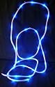 BLUE Solar Rope 50 LED String Garden Light Inside/Outside