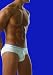 2(x)ist Varsity No Show Brief