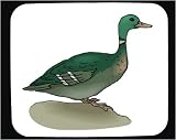 Decorated Mouse Pad with green, duck, bird