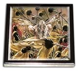 Sheila Wolk Chameleon Compact Mirror