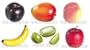 Artificial Decorative Faux Fruit 6pc Set