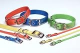 HAMILTON DOG ST NYLON DELUXE COLLAR 3 8X12 LIME - B0006G52JW