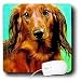 dachshund29 - Dogs Dachshund Dachshund Mouse Pads