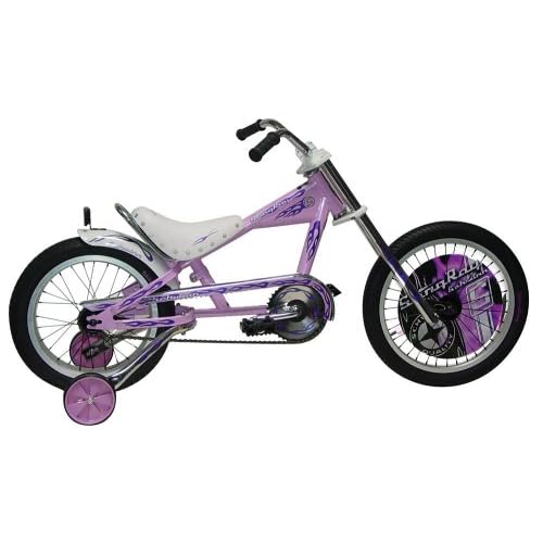 schwinn skid 16 inch