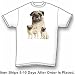 Pug - Cats and Dogs Premium T-Shirt