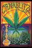Fantasy, Canablitz, Art Poster
