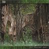 Image of album by Tuu