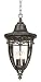 Bellisimo Collection 21" High Outdoor Hanging Light