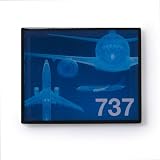 Wireframe 737 Pin