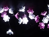 ＬＥＤ２１フラワー　ピンク＆ホワイト