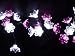 ＬＥＤ２１フラワー　ピンク＆ホワイト