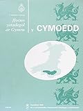 Y Cymoedd : ffocws ystadegol ar Gymru