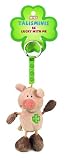 Nici 33688 - Schwein Beanbag Schl&uuml;sselanh&auml;nger Talismin 7 cm, rosa-braun