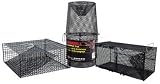 Black Pinfish Trap 18X12X8