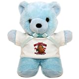 Teddy Bear Blue Athletic Outfitters Basketball Play Strong