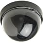 CSI/SPECO CVC-182 1/3" CCD Camera w/Dome Housing (Black & White)