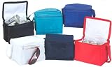 Ensign Peak Insulated Cooler Bag