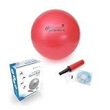 66Fit Gym Ball With Pump & Dvd