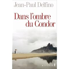 Dans l'ombre du Condor