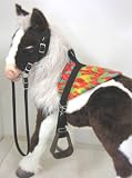 Butterscotch S'Mores Interactive Hasbro Saddle Set - Flames!