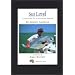 Sea Level: Adventures of a Saltwater Angler