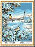 Paint By Number Kit 20''x16''-Sparrow in the snow