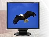 NEC MultiSync LCD195NXM-BK - Flat panel display - TFT - 19 - 1280 x 1024 / 75 Hz - 300 cd/m2 - 1000:1 - 5 ms - 0.294 mm - DVI-D, VGA - speakers - black