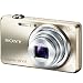 SONY Cyber-shot DSC-WX170 Gold