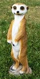 Standing Meerkat (Large)